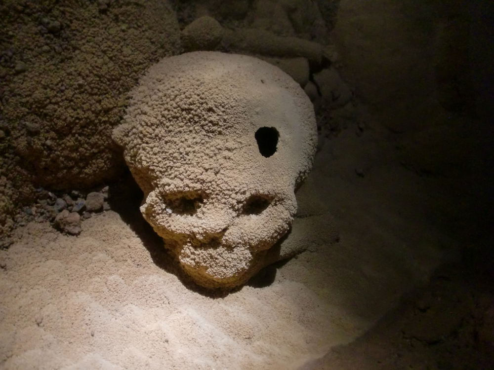 Skull with a hole. ATM Cave, Belize. Tunnocks World Tour